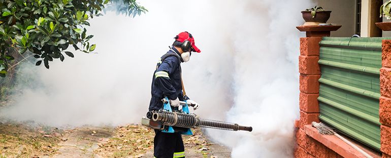 Insecticidas biodegradables en Costa Rica