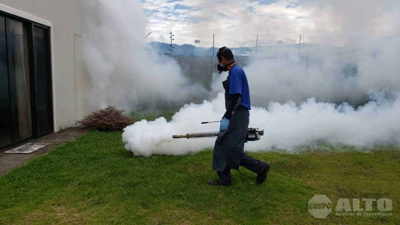 Que Se Debe Hacer Antes Durante Y Despu S De La Fumigaci N